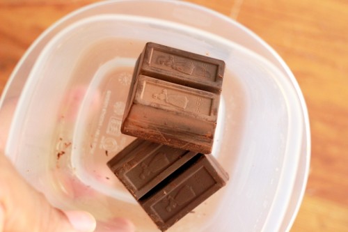 No Bake Chocolate Peanut Butter Balls (Low Carb)