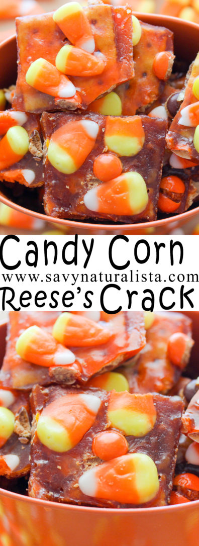made with real reeses pieces this #saltincrack in the perfect halloween treat for your party #crack #candycorn #shundara #treats